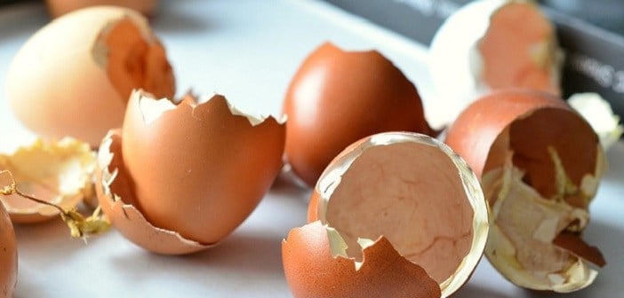 Yumurta kabuklarını sakın çöpe atmayın!