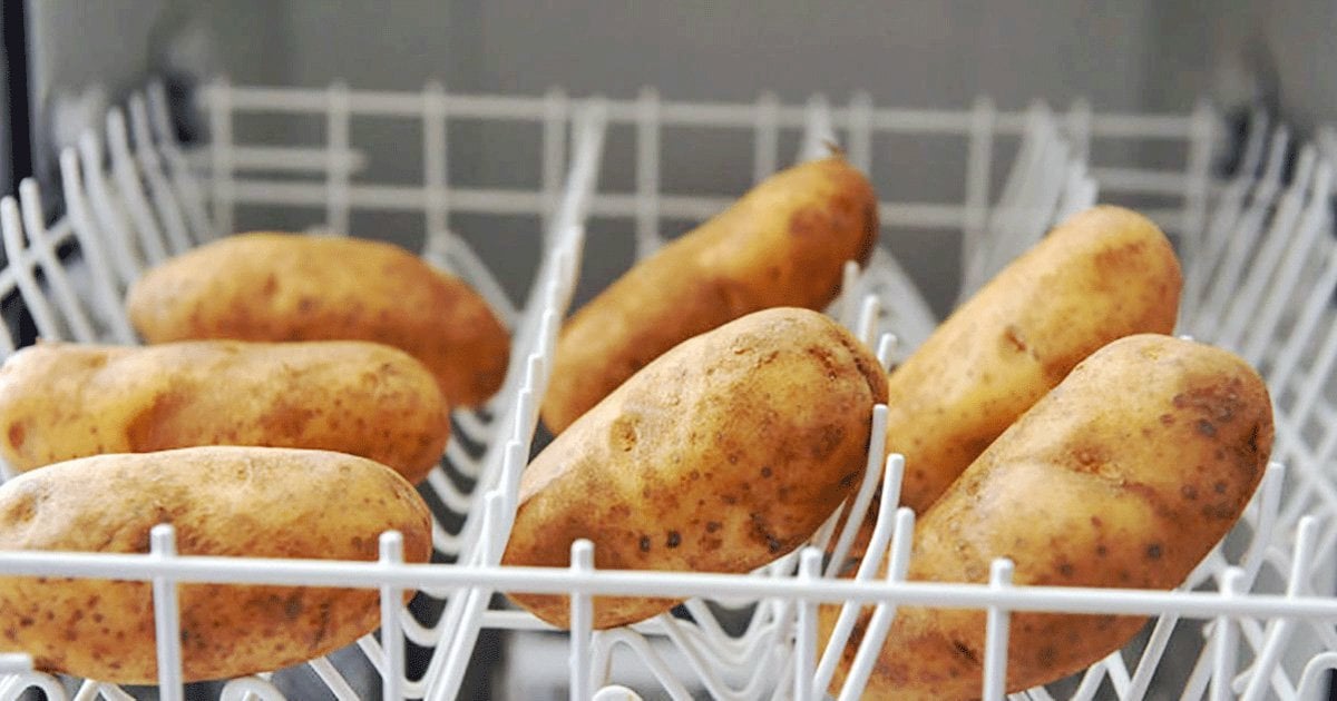 Patatesleri Bulaşık Makinesine Dizip Çalıştırınca Şaşırtıcı Gerçeği Görün